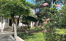 Отель Batumi Summer